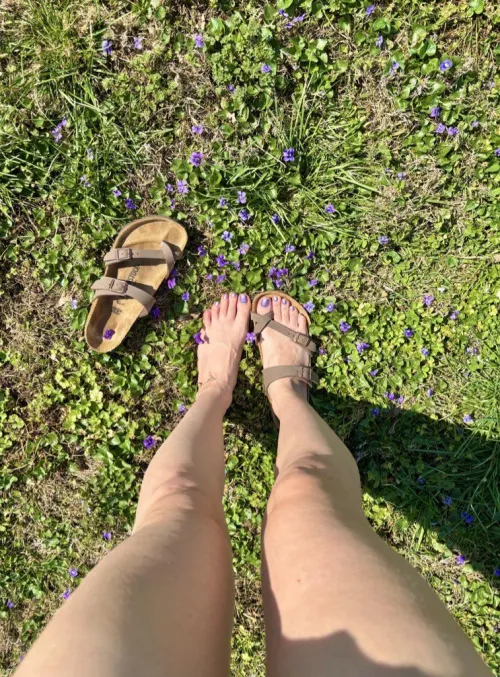 Matching with nature 