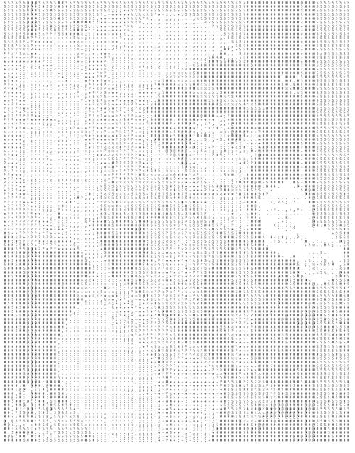 True fan of semi which pic is this?