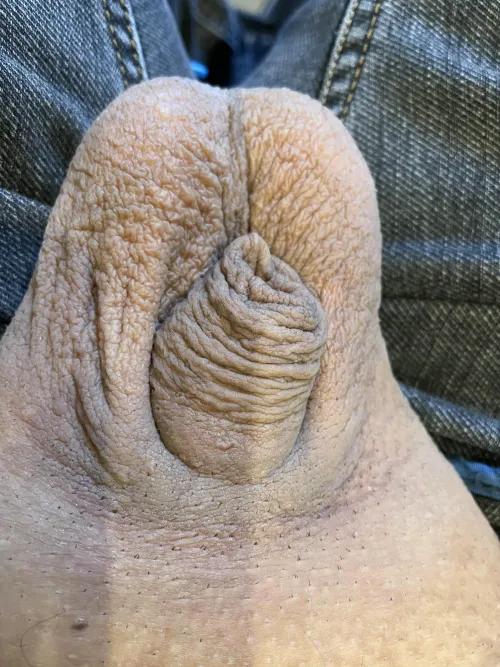 What do you like better my little cock or my testines