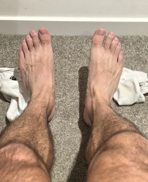 What do you think of my hairy legs?