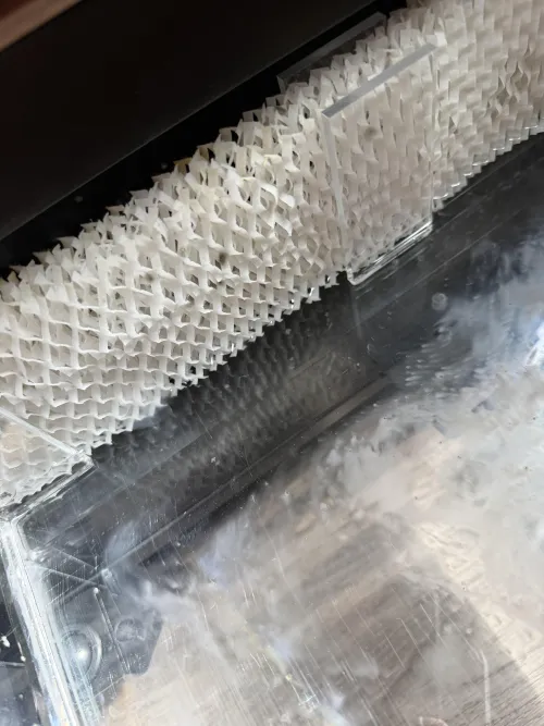 Why do these things cause mold?