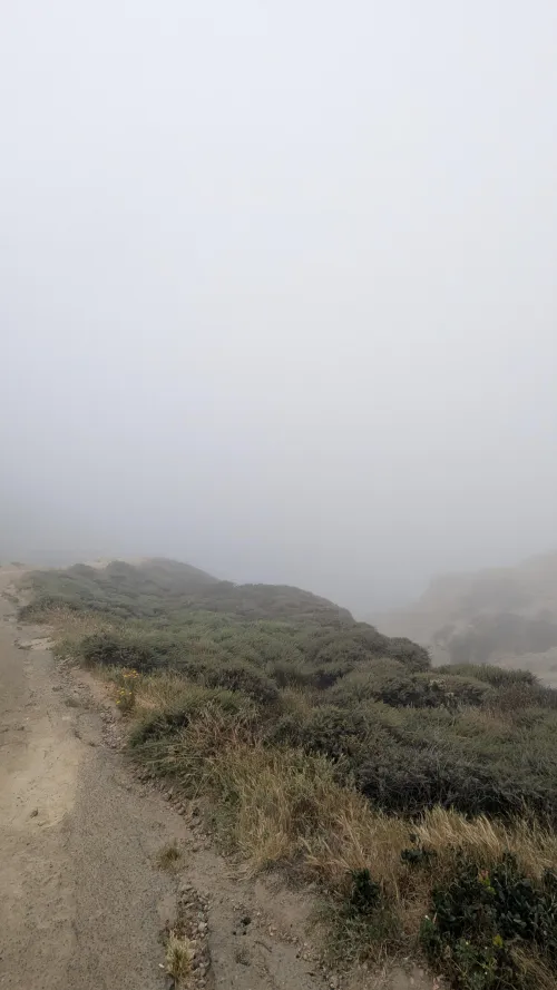 zero dibisilinity this morning