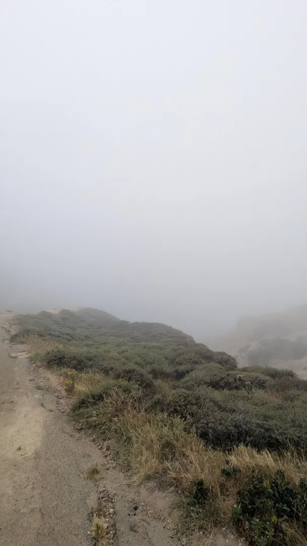 zero dibisilinity this morning