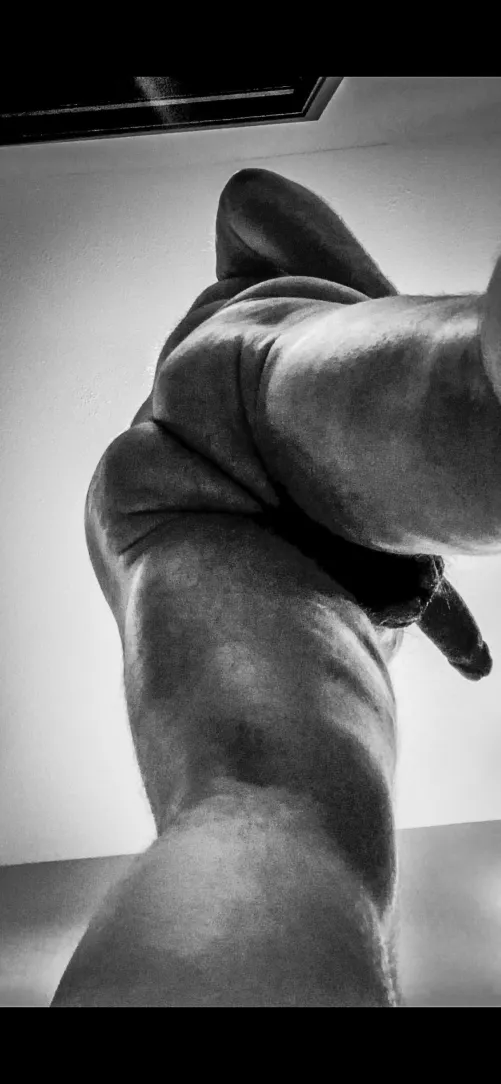 36 DL Kinky Bear ISO Fellow Kinkster