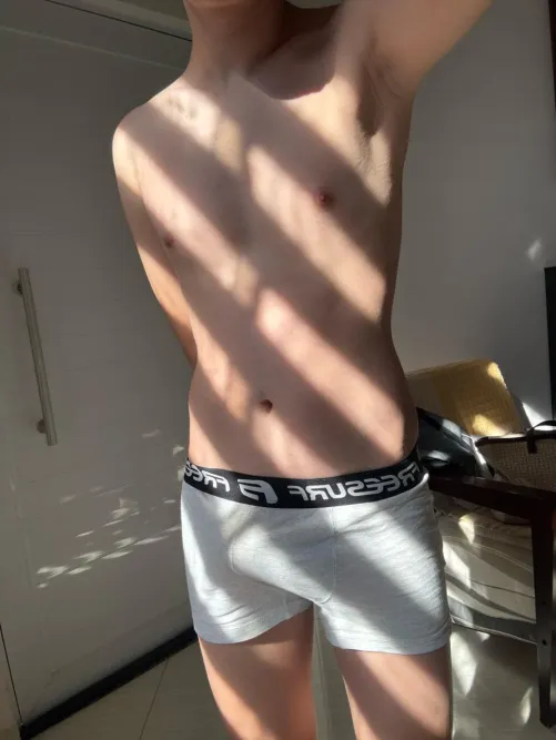 Good morning, boxer lovers 