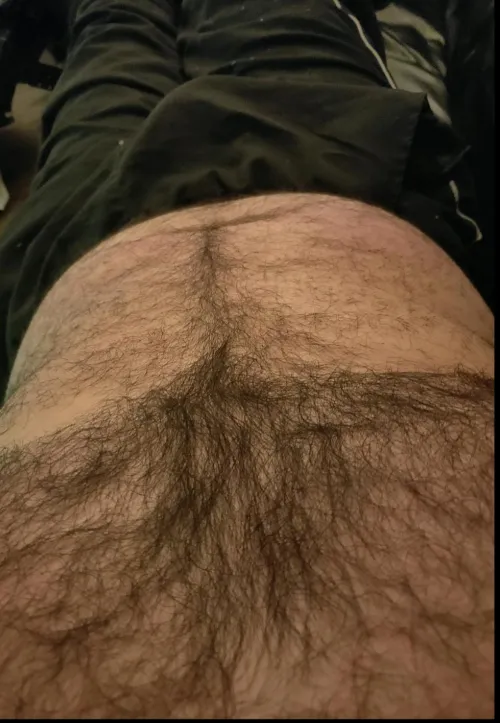 In from a few drinks.