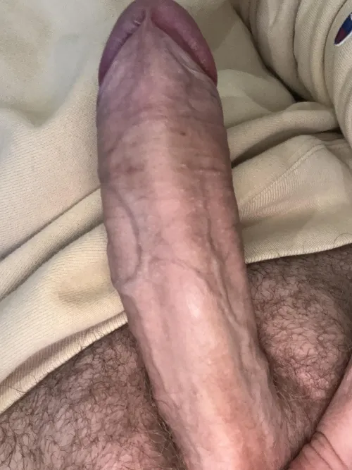 Just needs your hole