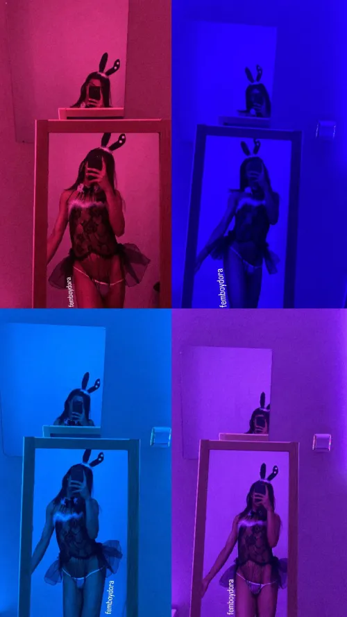 Kucağında ziplayan bir tavşanın olsun ister misin? ‍♀️