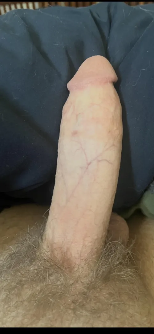 Looking for big shooters