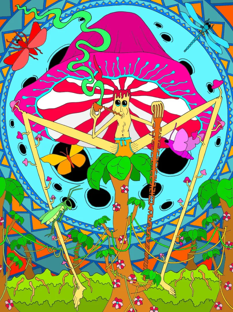 Mushroom King, a digital drawing I made