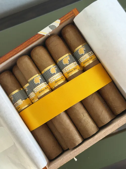 New addition to my humidor | Cohiba Robusto