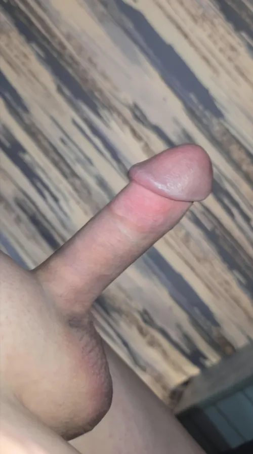 Small penis here just thought I'd share