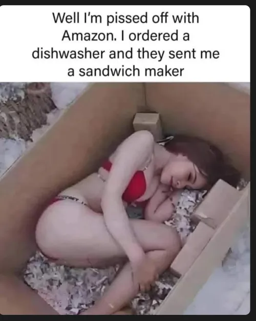 They sent me a sandwich maker
