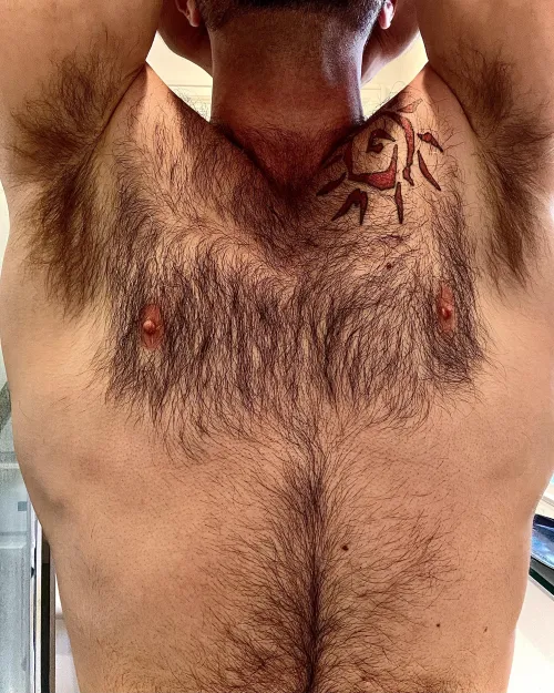 Tree growing into the heavens