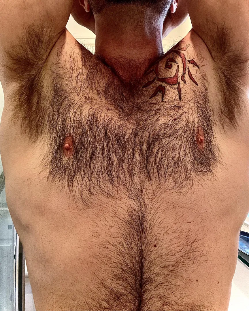 Tree growing into the heavens