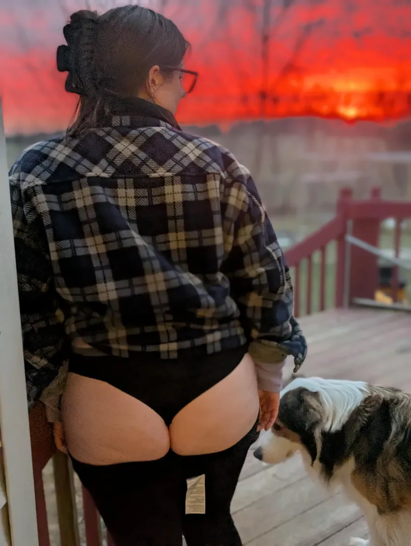 What is better? The ass or the sunset ?