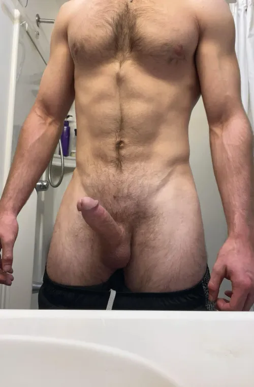 Any interest for this experienced bull? (NY)