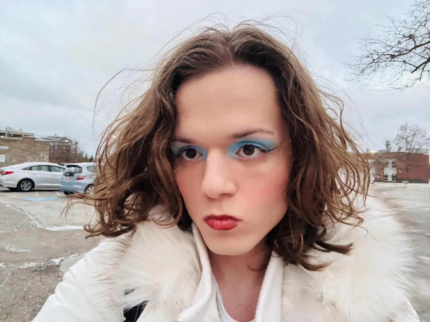 bambi needs an owner