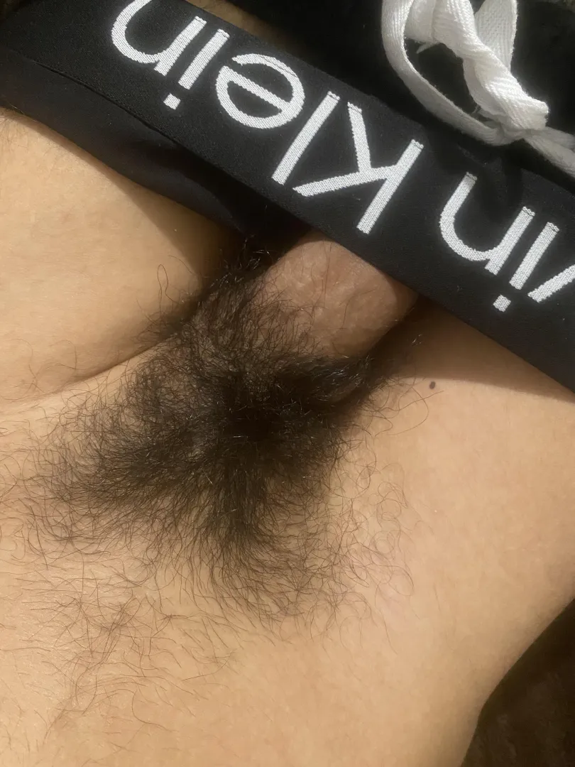 Follow me on x: lucasultim