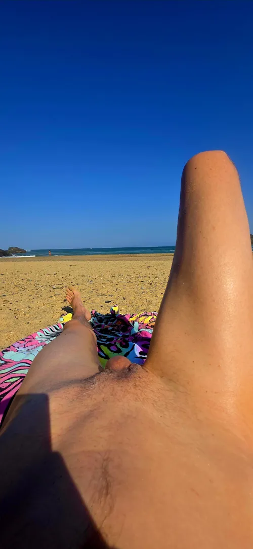 Little diggers coffs harbour