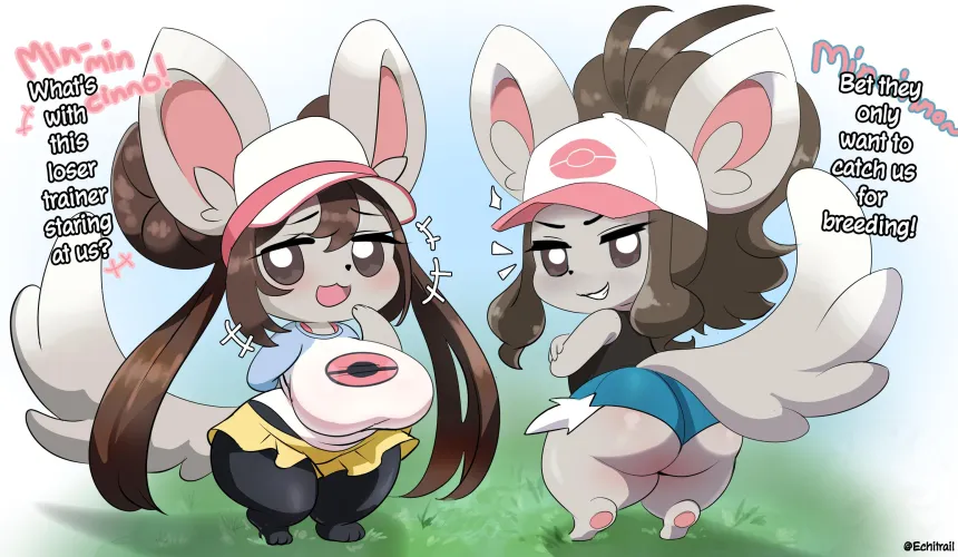 Mincinno Rosa and Hilda (Ecchitrail)