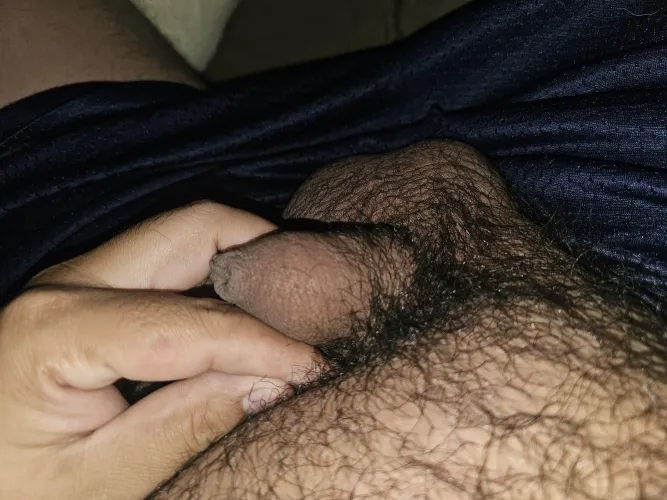My thick softy anyone want play it?