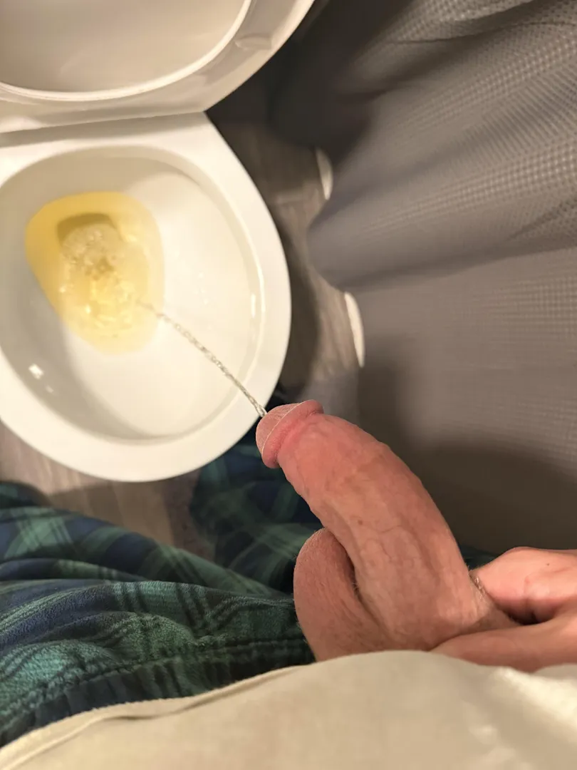 quick piss at home, needs your attention