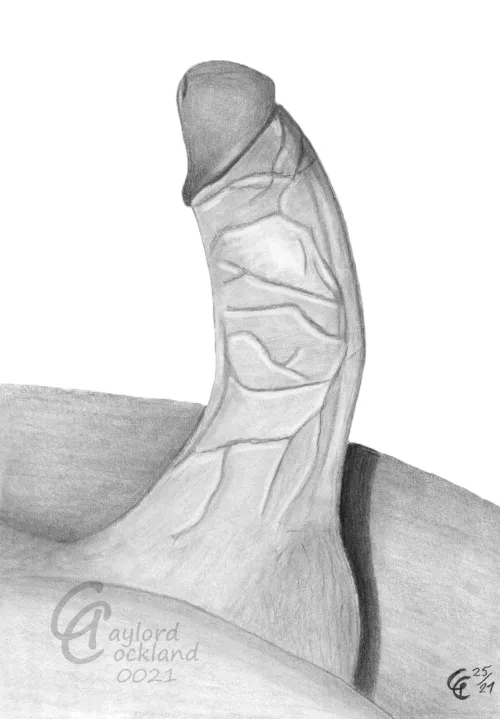 (#21) massive erect cock with open foreskin, drawn by me