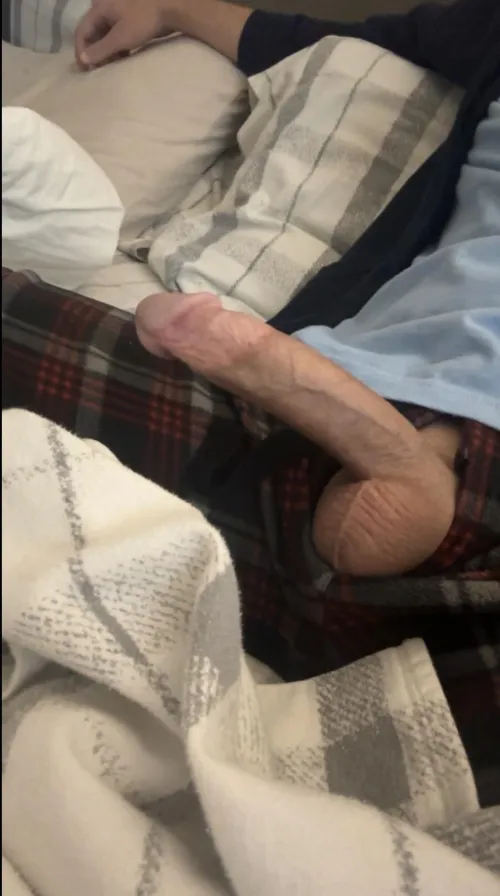 36 [M4F] #St.Louis - Ever Ride a Clydesdale?