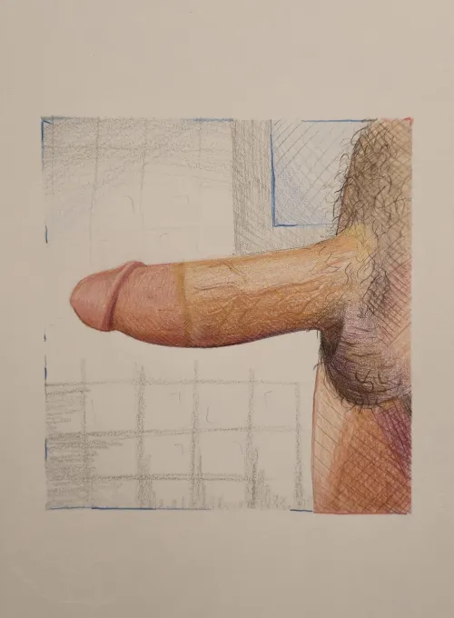 First penis drawing I have done