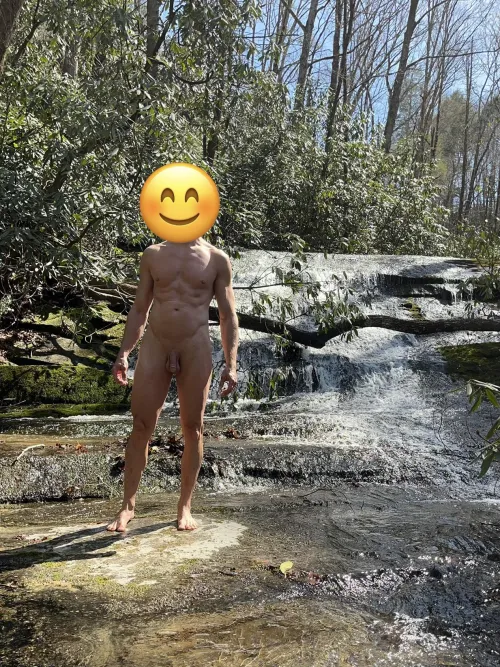 Off trail at a state forest