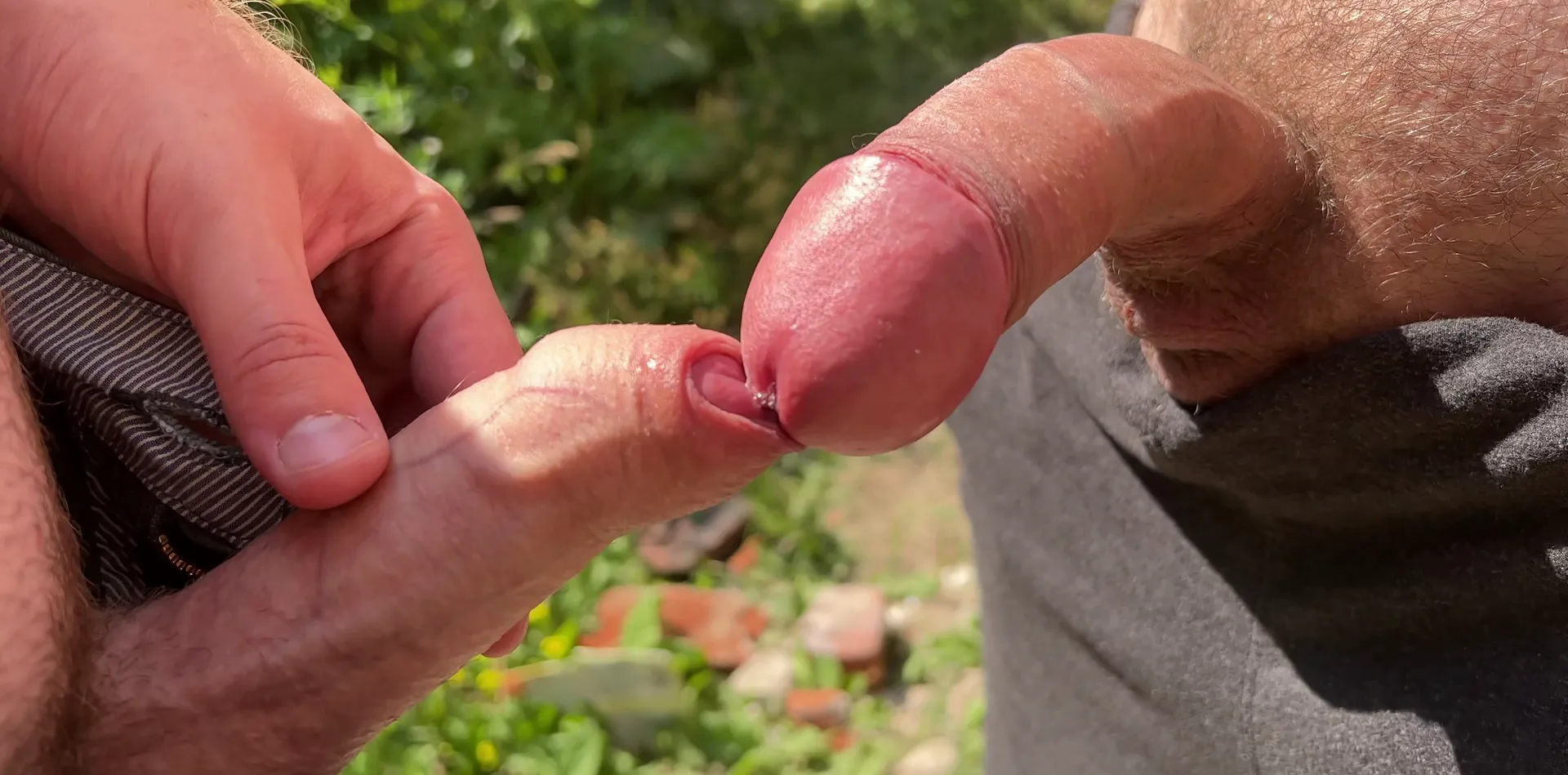 Which penis will you choose - cut or uncut?