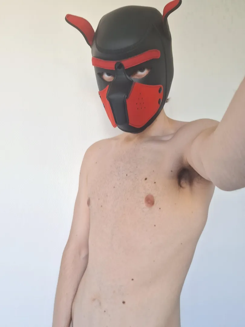 Who's gonna be my good boy?