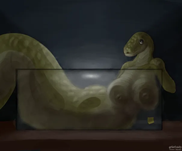 you offered to look after your neighbor's snake nextdoor wyd [F] (by me)