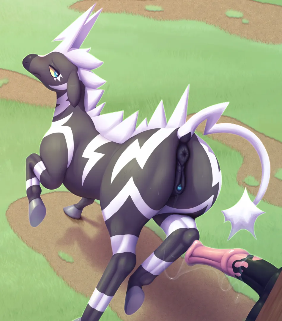 Zebstrika doing some solo training [F] (Anojaa)