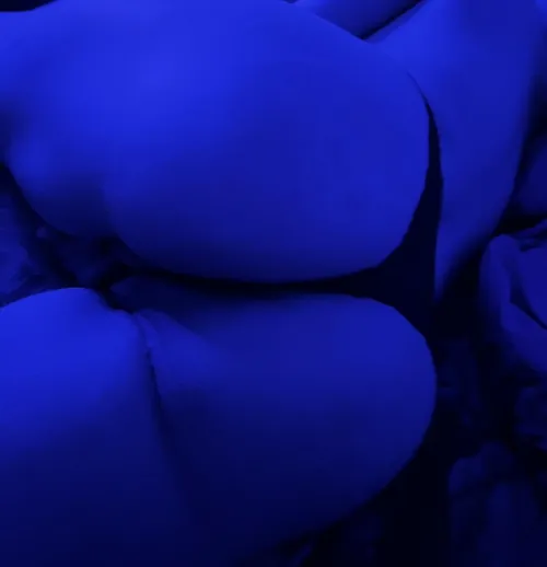 24F27M bisexual couple looking for a third or a foursome