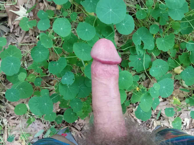 [90031] Elysian Park is going to be LIT tonight