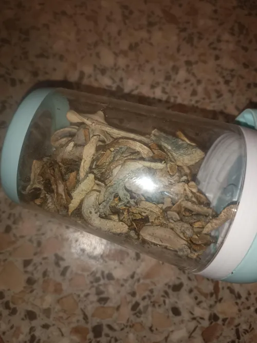 are these safe shrooms?