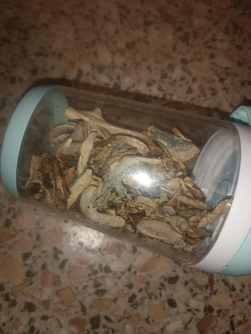 are these safe shrooms?