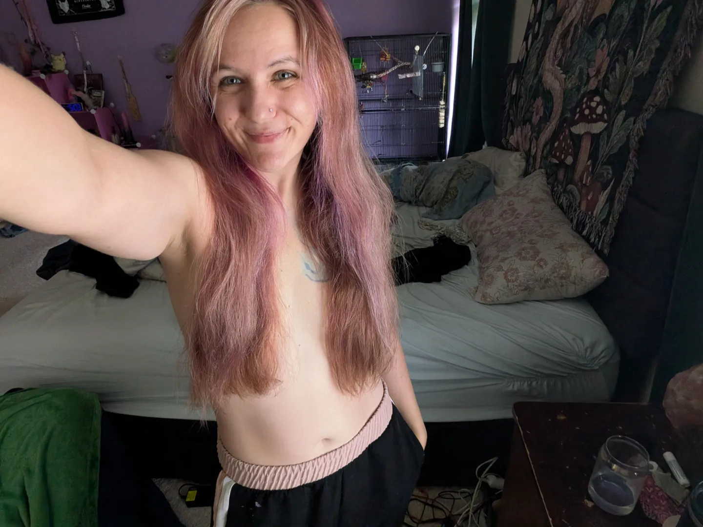 Brushed out and fluffy lol