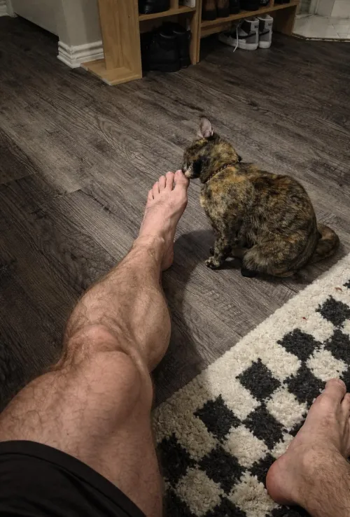 Cat’s name is Barbell