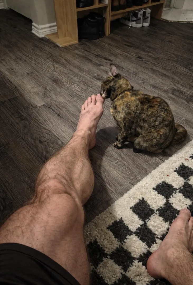 Cat’s name is Barbell