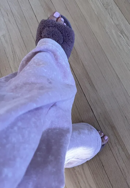 comfy vibes every day 