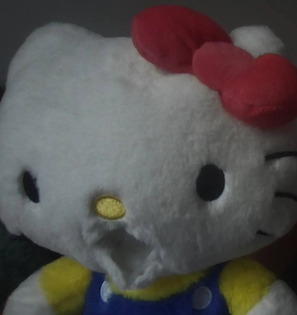 Cuando estas cogiendo con Hello Kitty pero nadie esta en linea