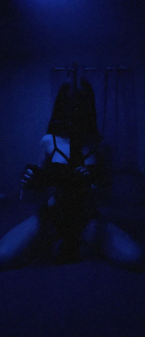 Does Sammy look good holding my AR15? 