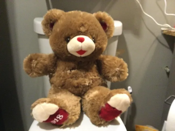 Got a new bear plush