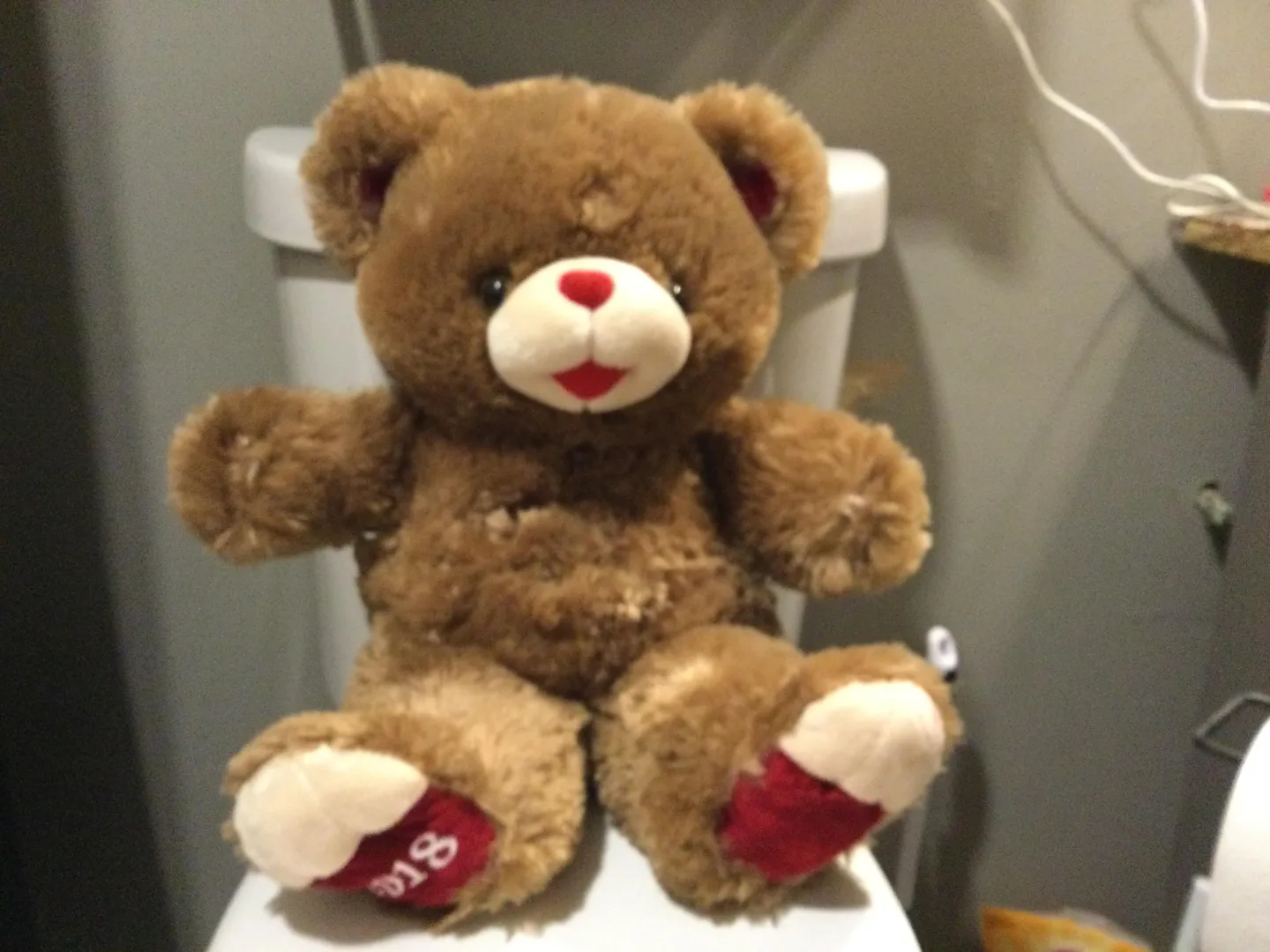 Got a new bear plush