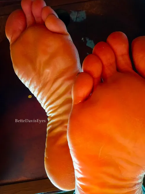 Hiding under my desk again?