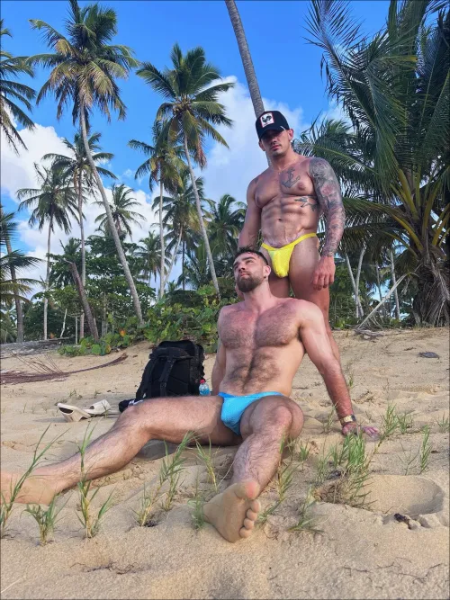 Let us distract you for a second