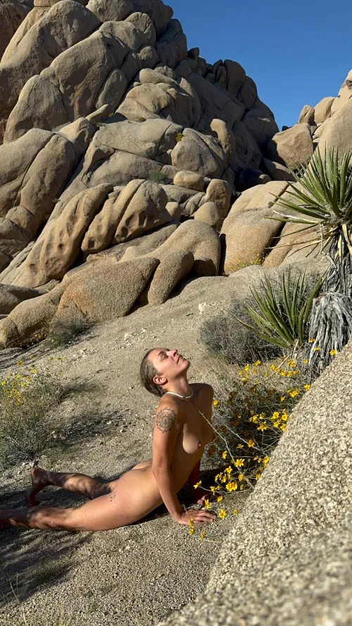 Springtime in the desert 